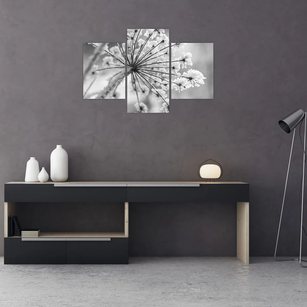 Obraz - Kvetina v zime (90x60 cm)