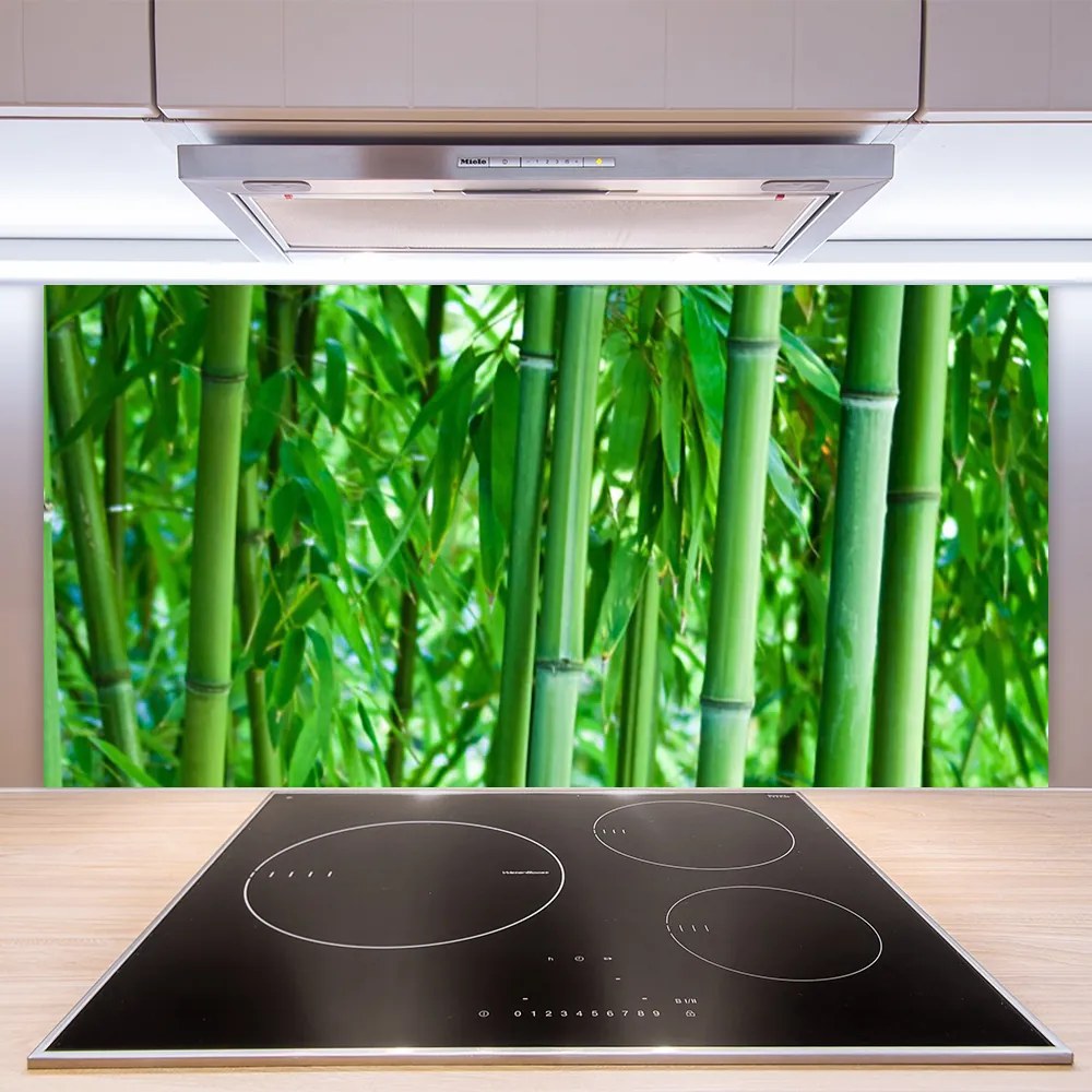 Nástenný panel  Bambus stonka rastlina 140x70 cm