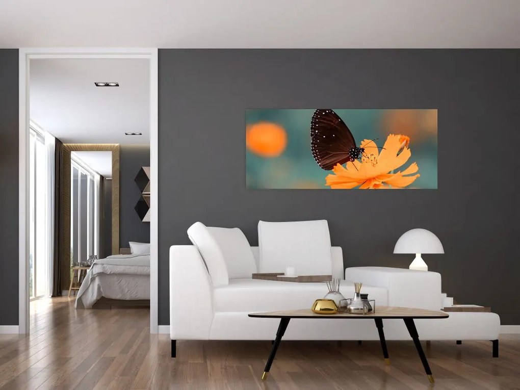 Obraz - motýľ na oranžovom kvete (120x50 cm)