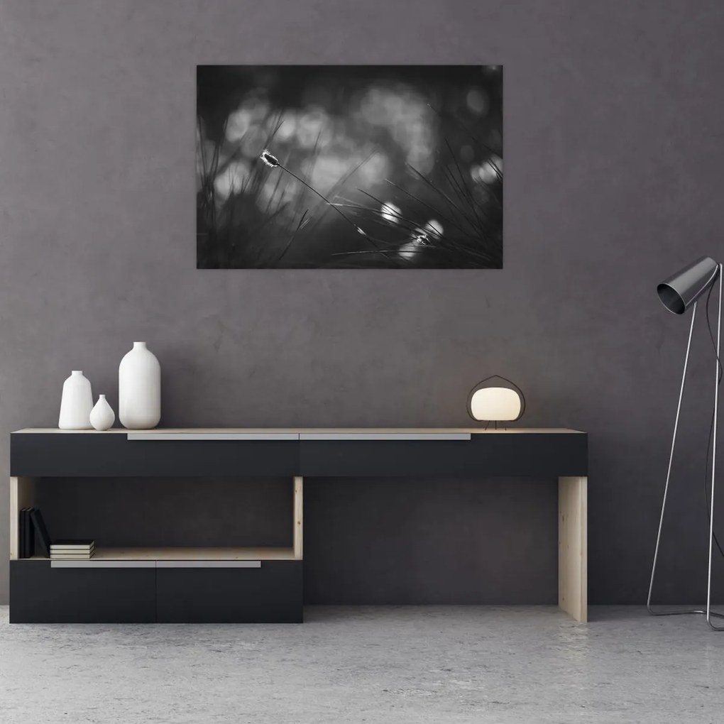 Obraz - Lúčna tráva (90x60 cm)