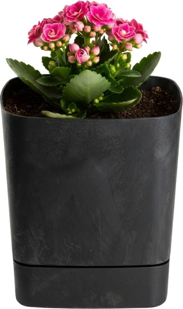 Sada 3 ks květináčů Cubi 16x16/19x19/25x25 cm černý beton