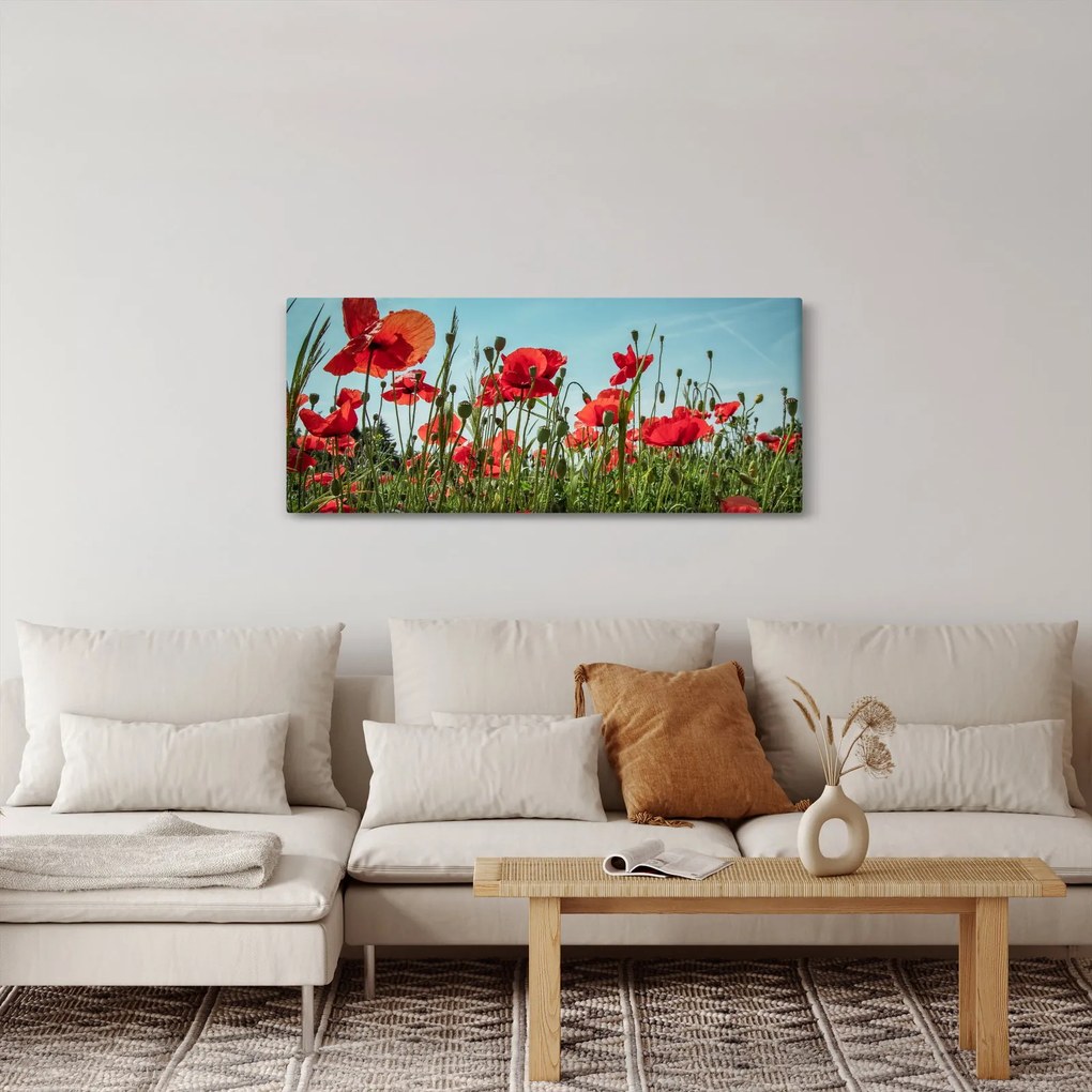 Obraz - Na poli vlčích makov (120x50 cm)