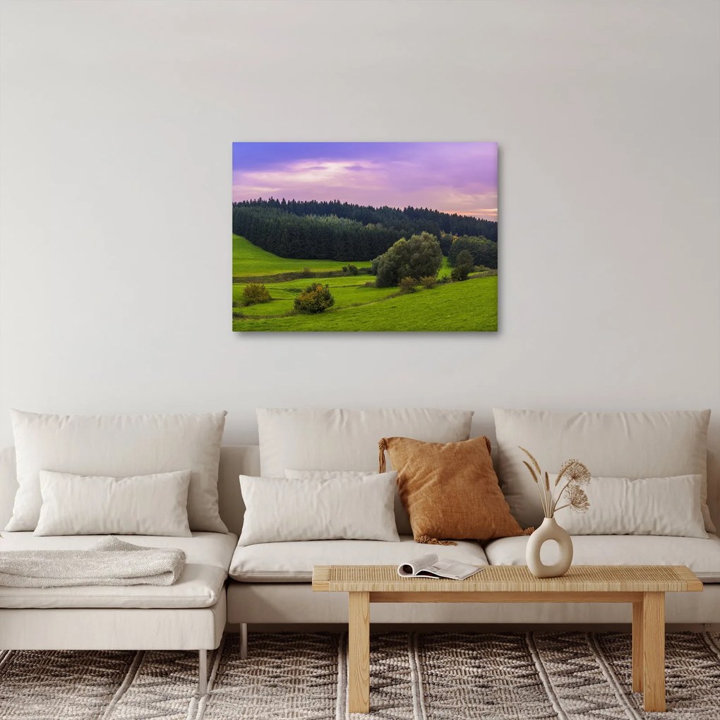 Obraz lúky (70x50 cm)