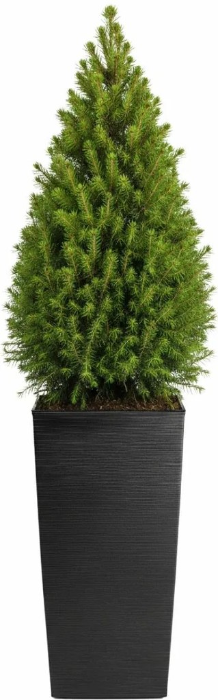 PLASTOVÝ KVETINÁČ PORTO RIFLO 75X39,5X39,5 CM ČIERNA