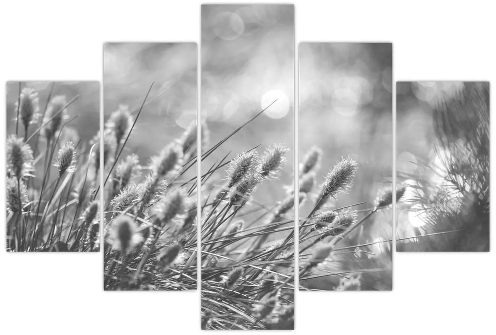 Obraz - Béžová soft grass N⁰1 (150x105 cm)