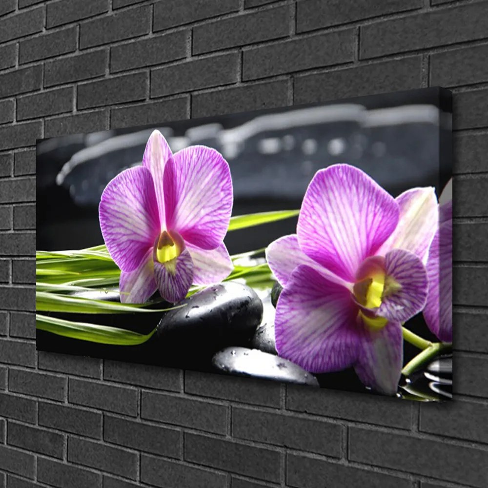 Obraz Canvas Orchidea kamene zen kúpele 125x50 cm