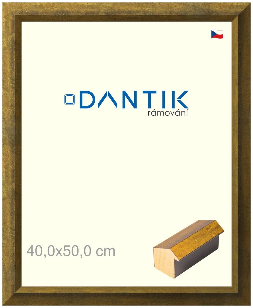 DANTIK rám na obraz 40x50 | Forgia Gold (Sklo Čiré)