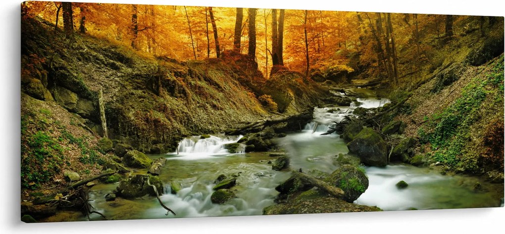 Obraz - Les (120x50 cm)