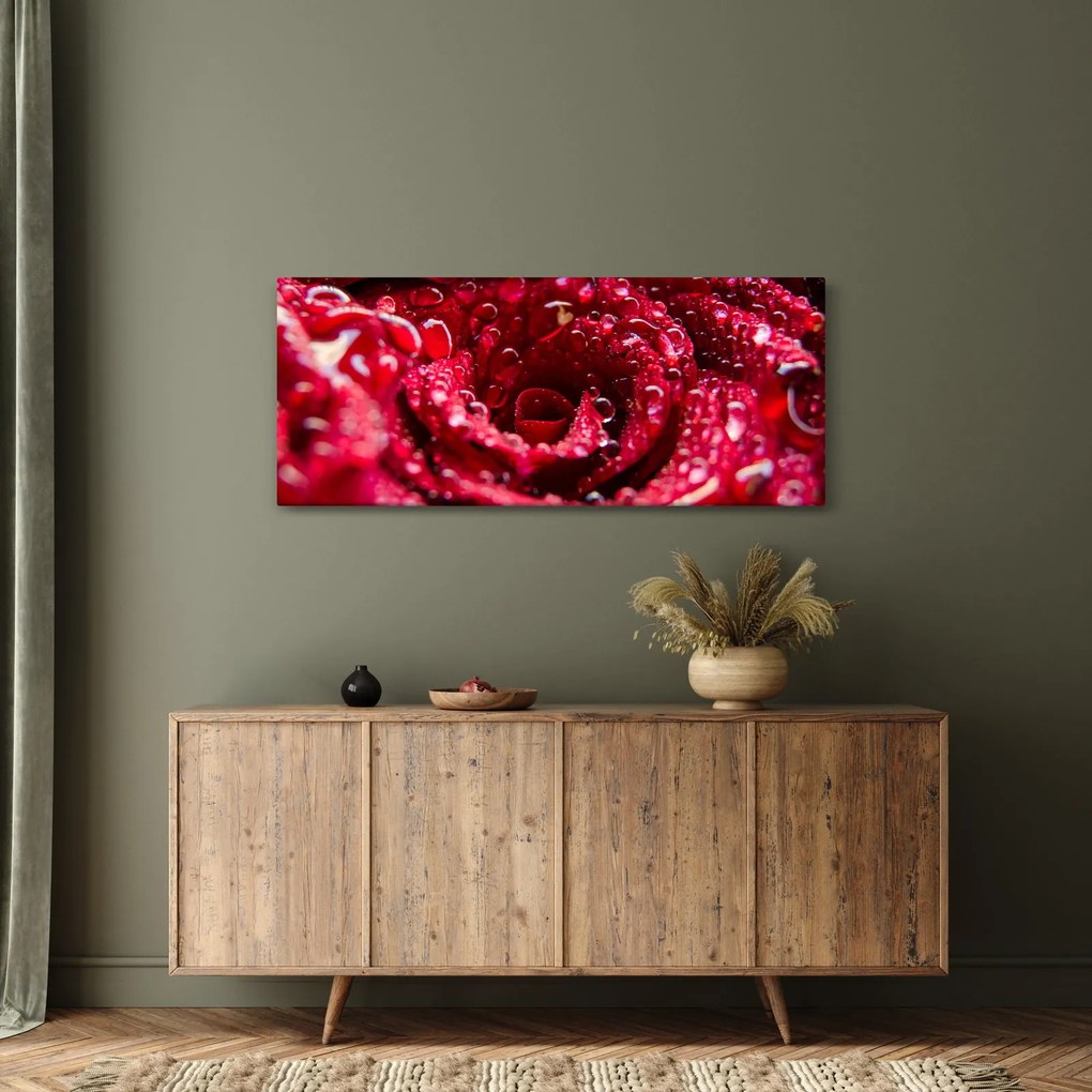 Obraz kvetu červenej ruže (120x50 cm)