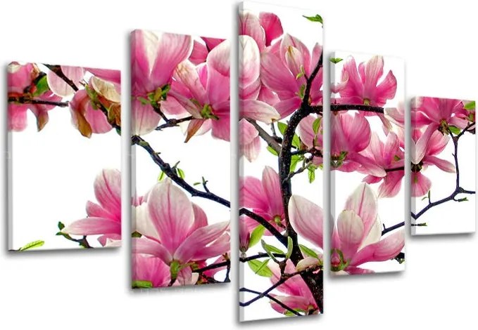Obraz na stenu 5 dielny KVETY XOBKV132E50 - 150x100 cm
