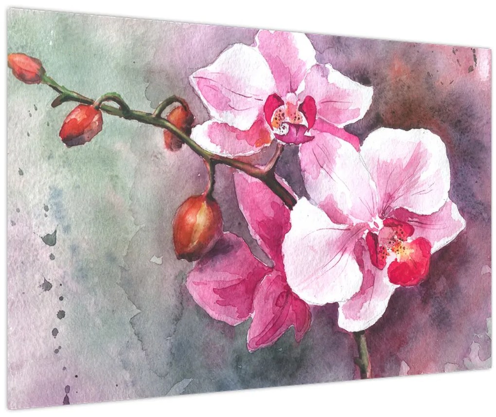 Obraz - Orchidey, aquarel (90x60 cm)