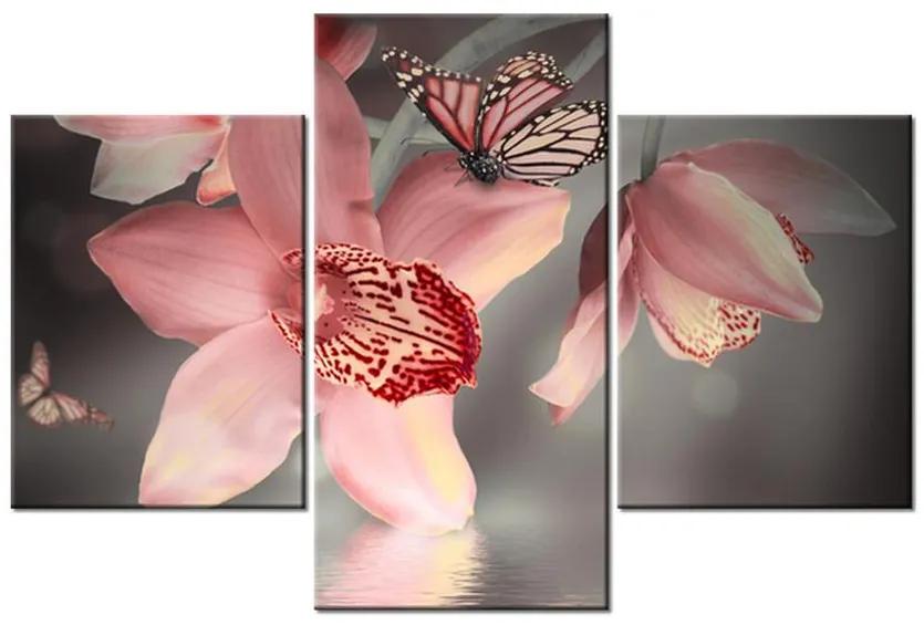 Obraz kvetov a motýľa (90x60 cm)