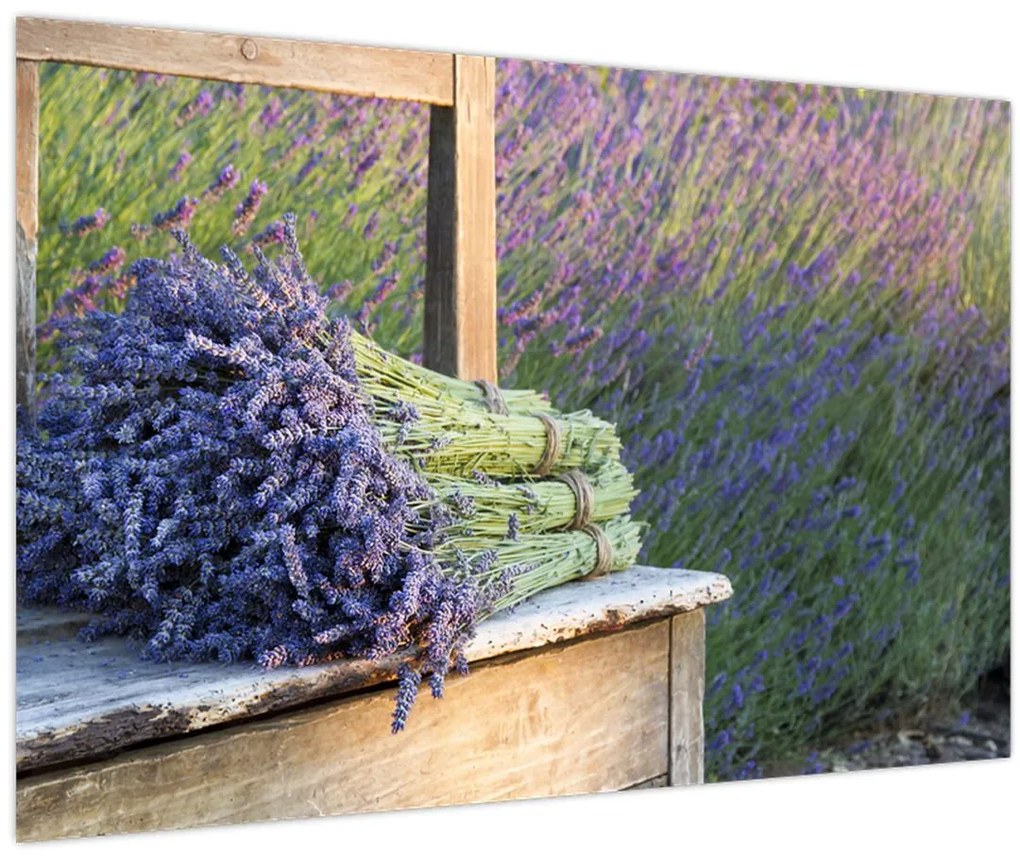 Obraz - Levanduľové zväzky (90x60 cm)