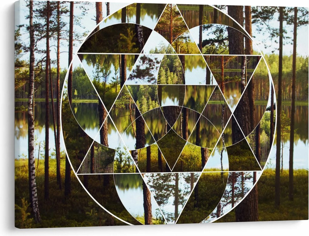 Obraz - Geometrická koláž na pozadí severských lesov (70x50 cm)
