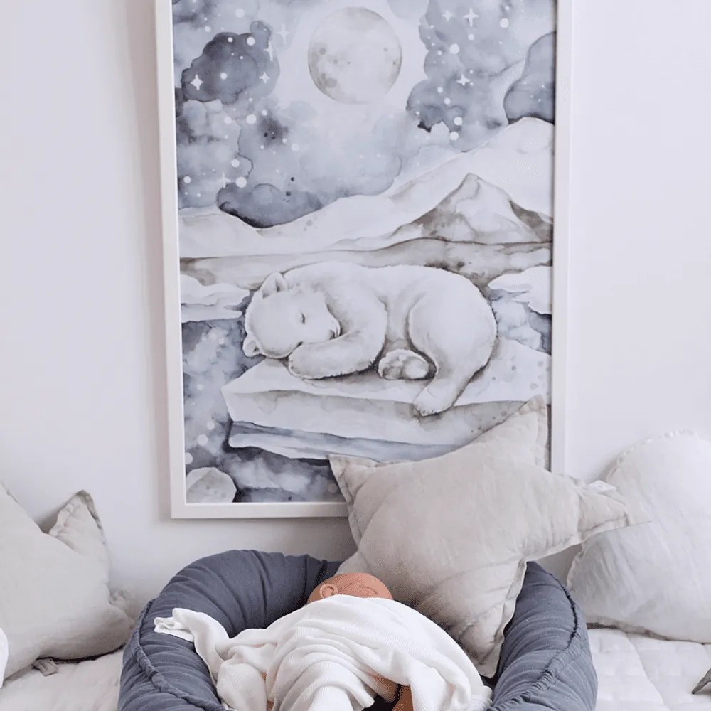 Plagát medveď 50x70cm