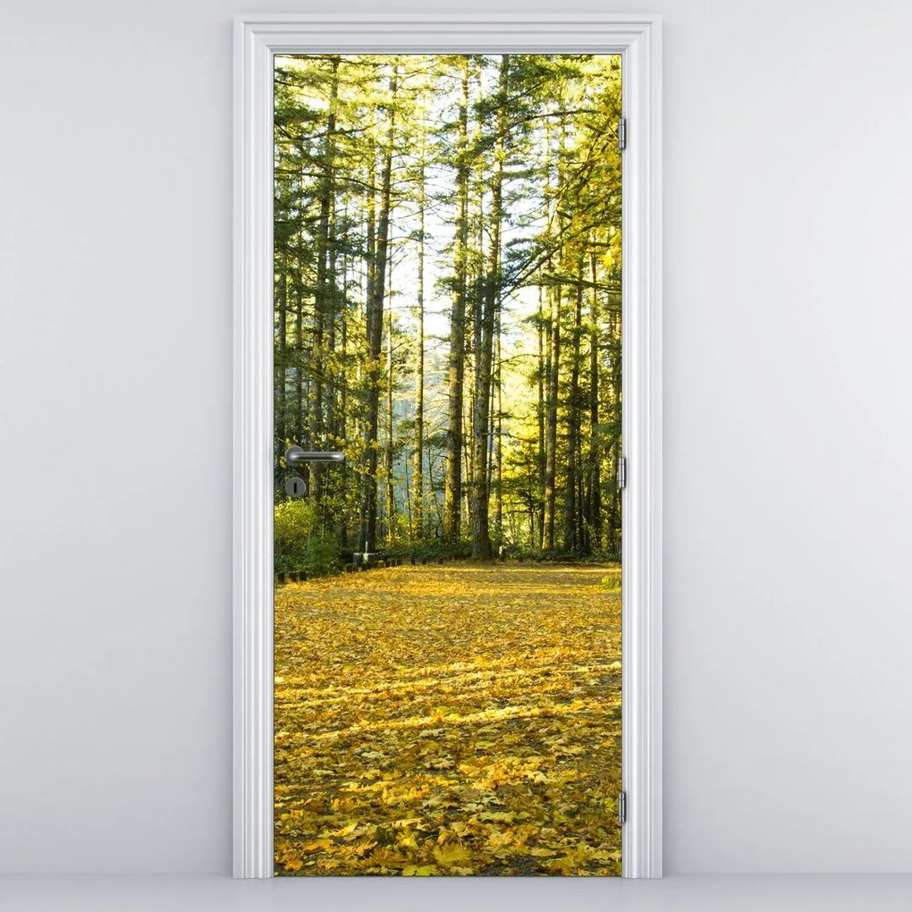 Fototapeta na dvere - Les na jeseň (95x205cm)