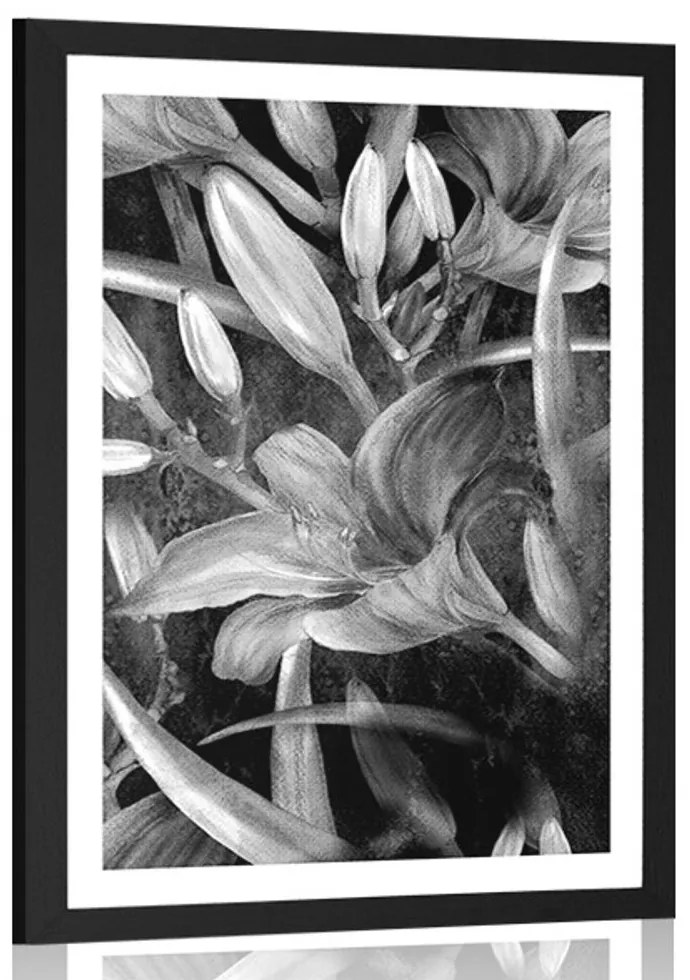 Plagát s paspartou rozkvet ľalie v čiernobielom prevedení - 40x60 silver