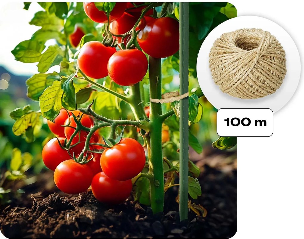 Záhradný fóliový tunel Plonos 3 x 2 m (6 m²) 4910-B