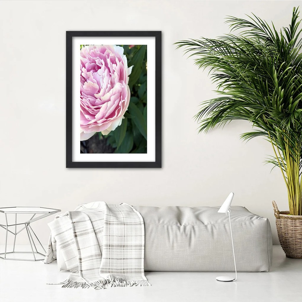 Gario Plagát Pekná ružová pivonka Farba rámu: Bez rámu, Rozmery: 20 x 30 cm