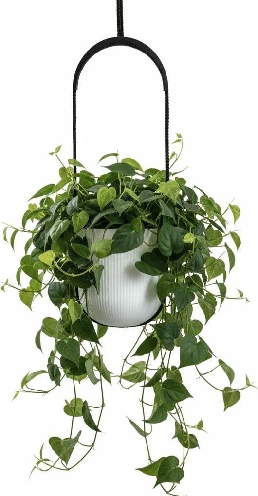 Závěsný květináč AERA HANG 17,9 cm bílý