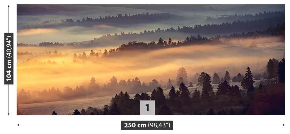 Fototapeta Vliesová Horský les 152x104 cm