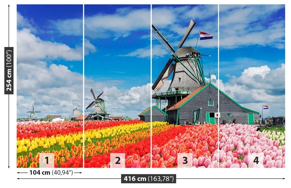 Fototapeta Vliesová Veterné mlyny v holandsku 250x104 cm