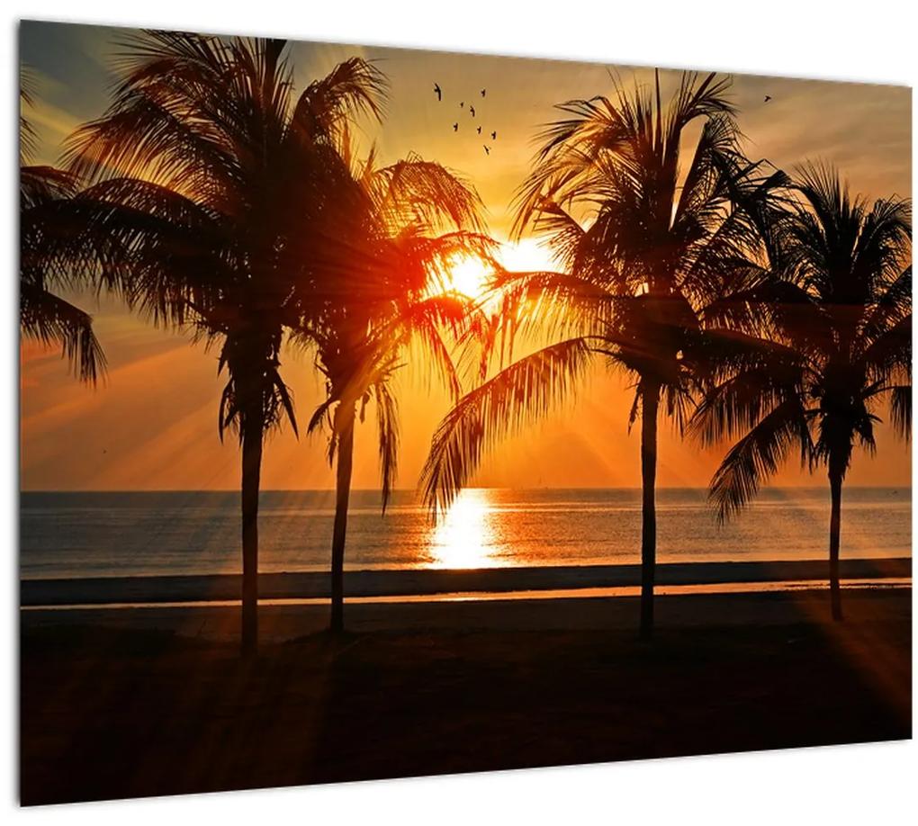 Sklenený obraz palmy v západe slnka (70x50 cm)