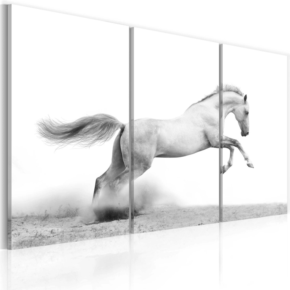 Obraz - A galloping horse 120x80
