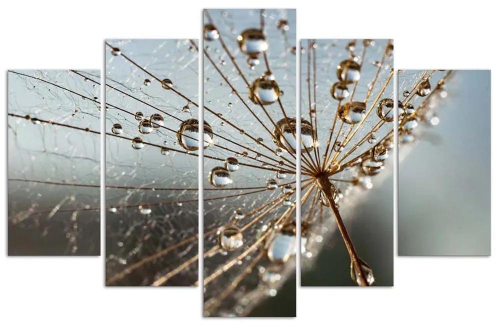 Gario Obraz na plátne Kvapky rosy a pavučina - 5 dielny Rozmery: 100 x 70 cm