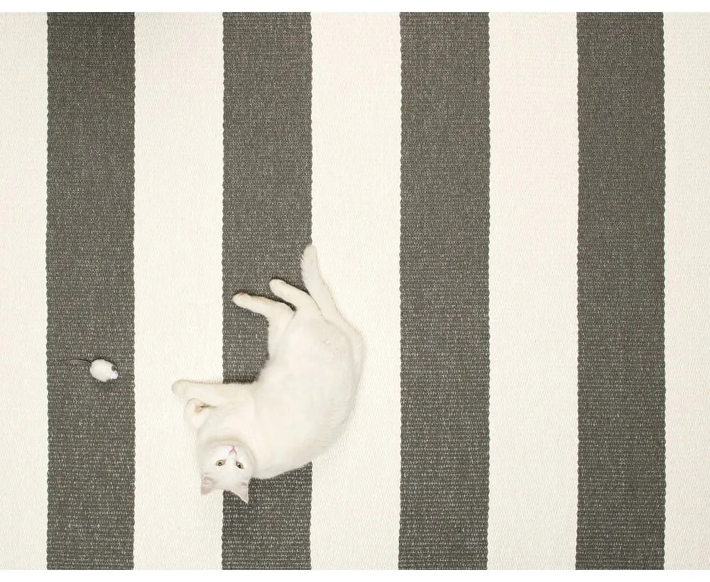 Antracitovo-krémový vnútorný a vonkajší behúň 70x300 cm Bob Charcoal Linen – Pappelina