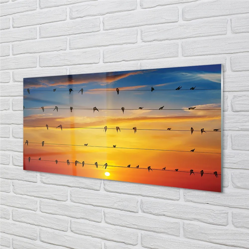 Nástenný panel  Vtáky na lanách západu slnka 120x60 cm