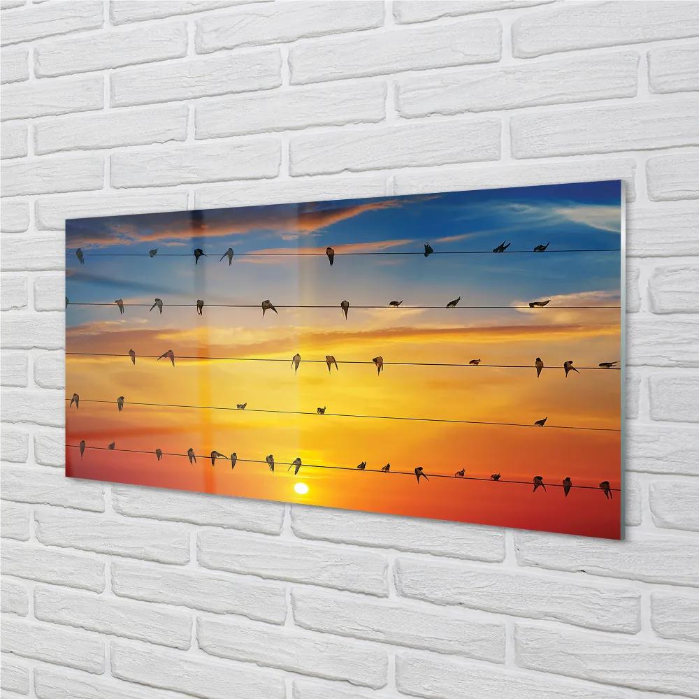 Nástenný panel  Vtáky na lanách západu slnka 140x70 cm