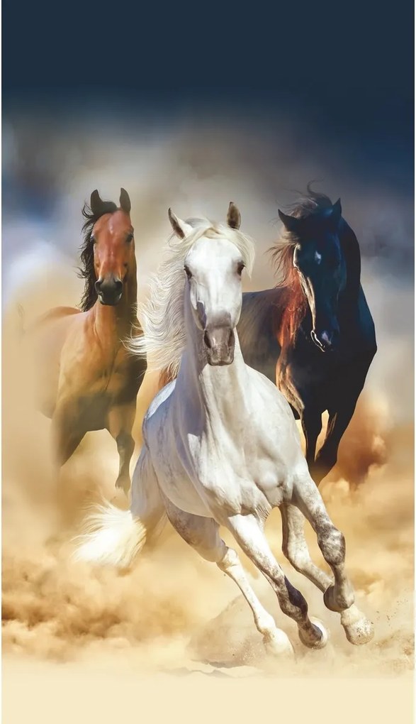 Vertikálna fototapeta Horses, 90 x 202 cm