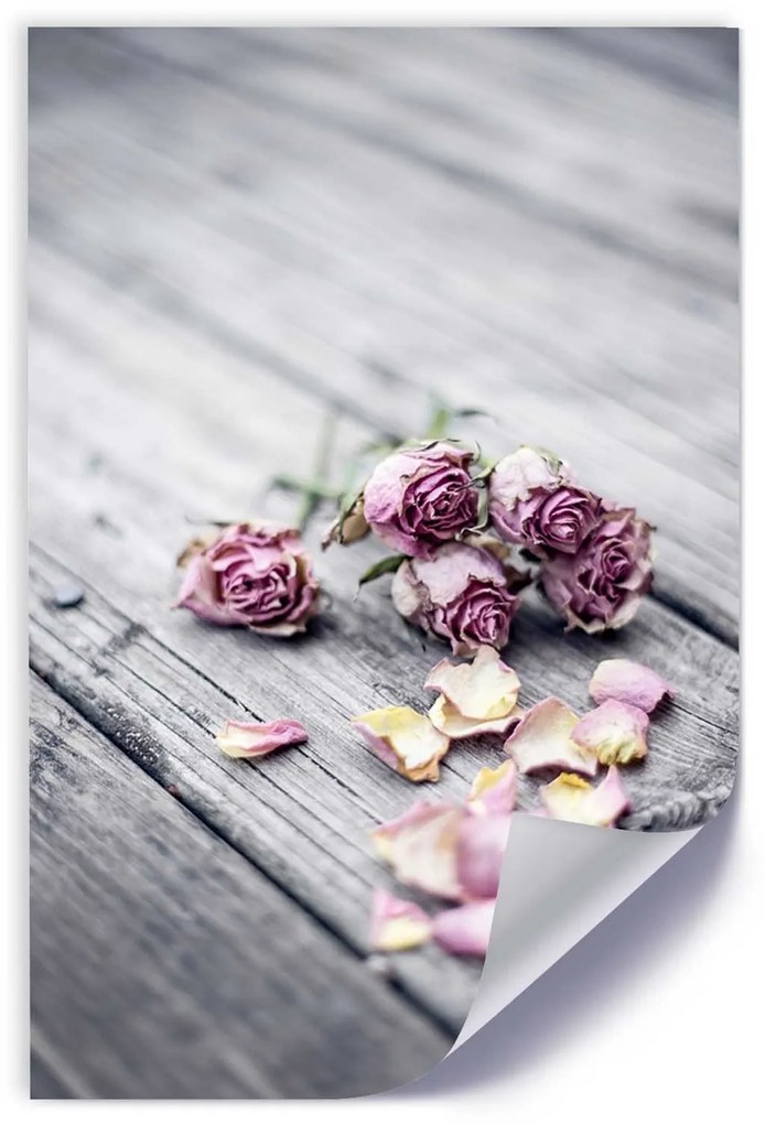 Gario Plagát Sušené ruže na móle Farba rámu: Bez rámu, Rozmery: 20 x 30 cm