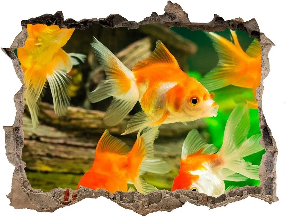 Díra 3D foto tapeta nálepka Zlaté rybičky WallHole-95x64-kamien-89540196