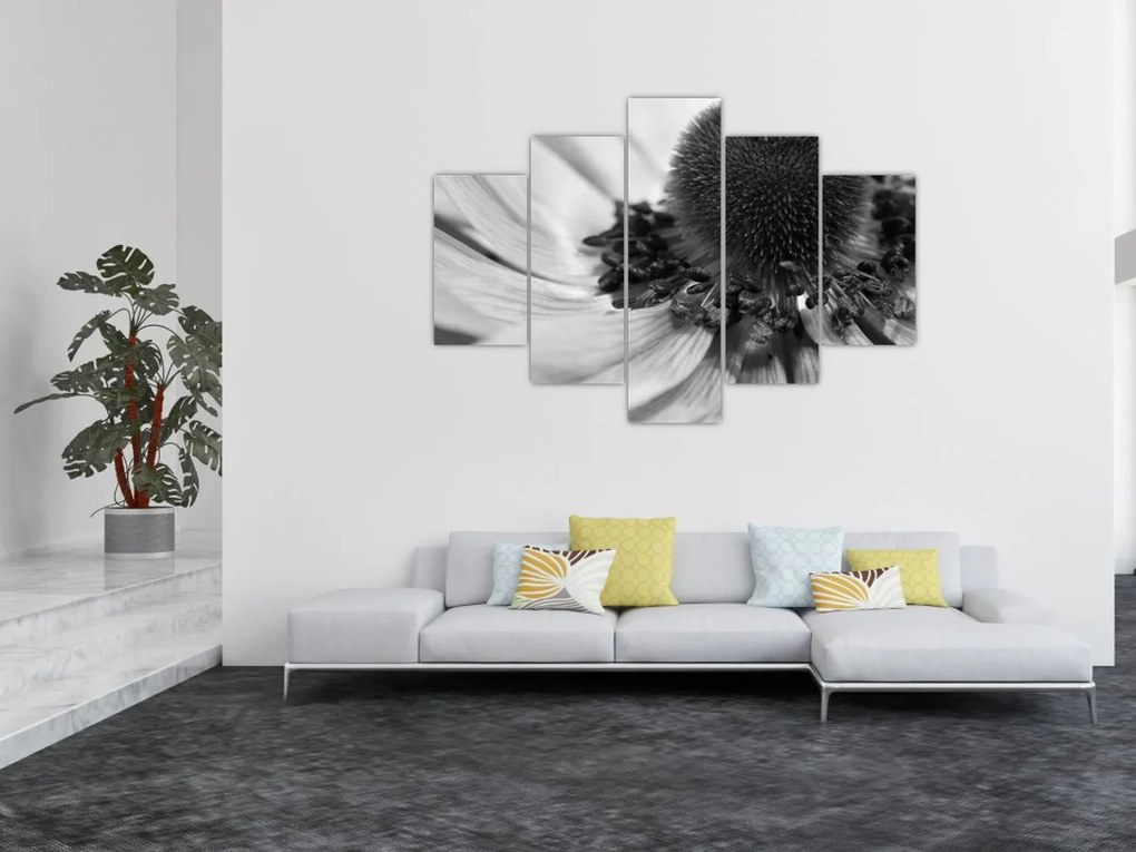 Obraz - Kvetina v čiernobielej (150x105 cm)