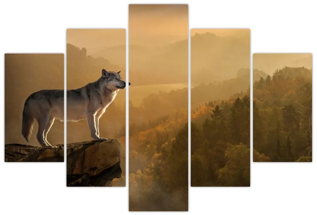 Obraz vlka na skale (150x105 cm)