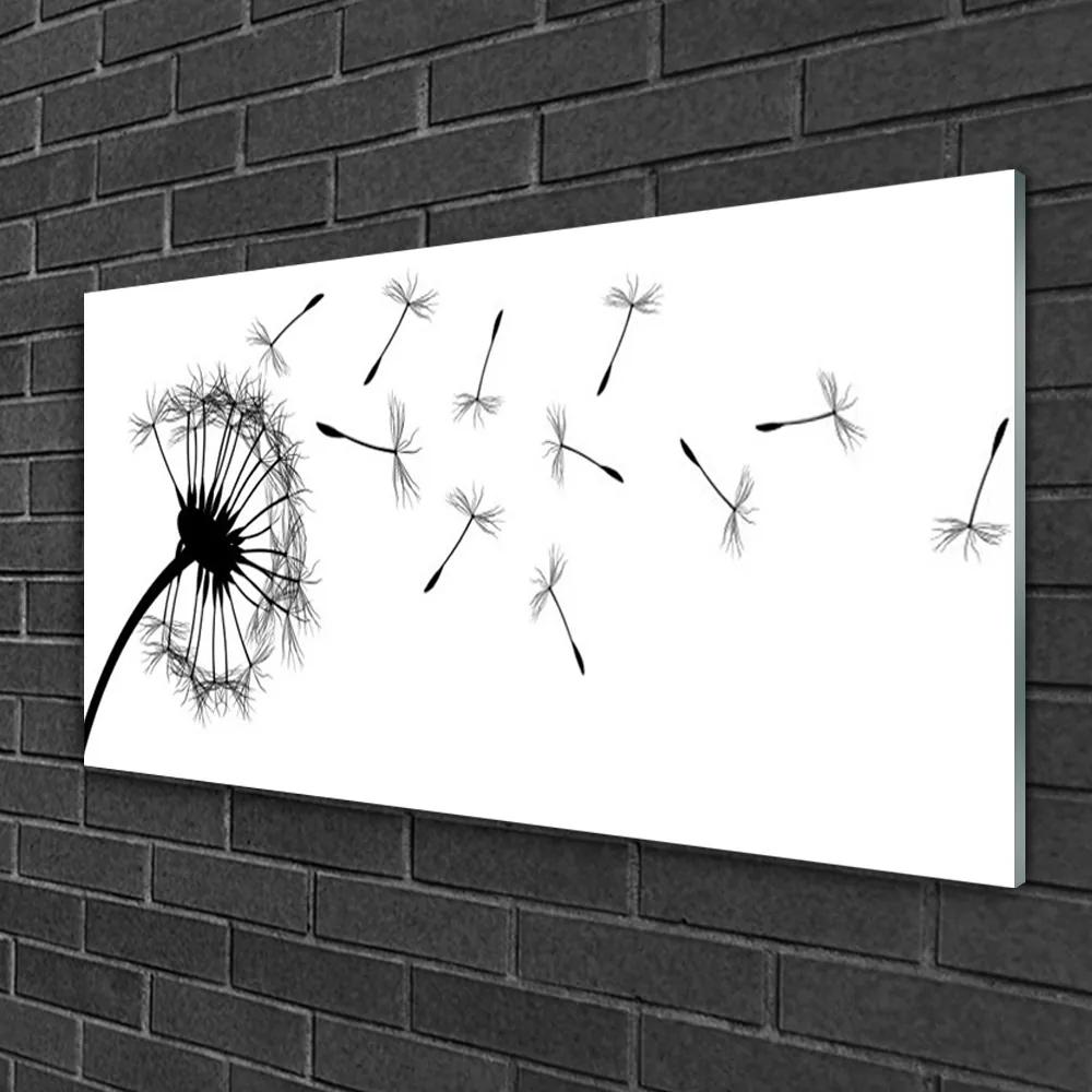 Skleneny obraz Púpava kvet 125x50 cm