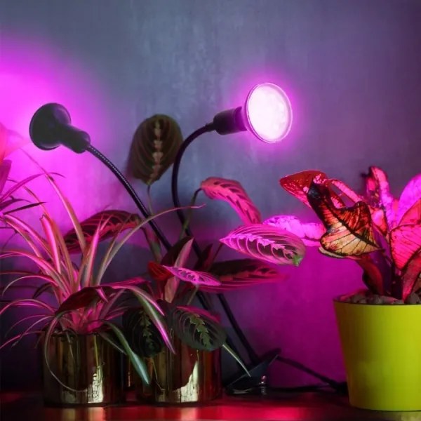 Flexibilná stolná lampa s klipom PLANTY 2xE27/30W/230V čierna