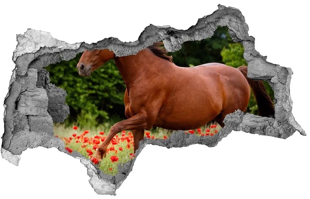 Diera 3D fototapeta nálepka Kôň v poli maku nd-b-85278470