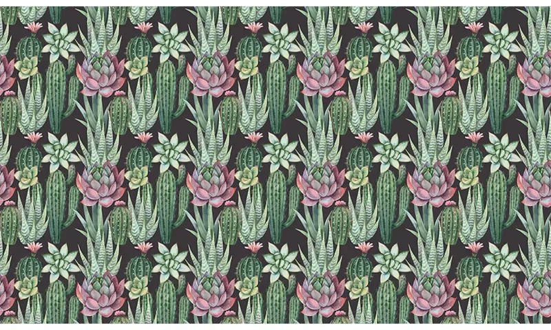 VLADILA Succulents - tapeta
