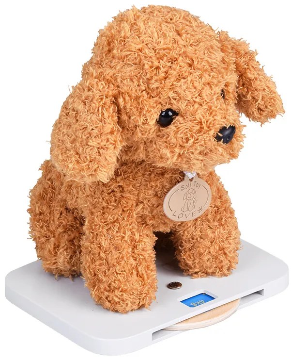 Jokomisiada Wooden Veterinary Clinic – Vet Clinic with Puppy + Accessories ZA5939