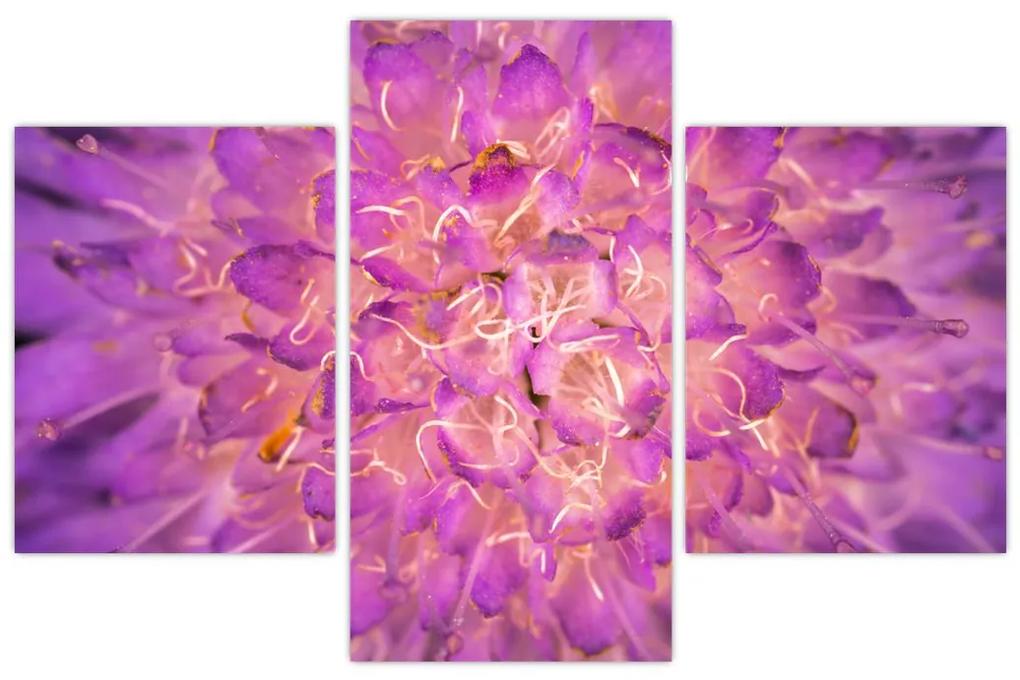 Detailný obraz kvetu (90x60 cm)