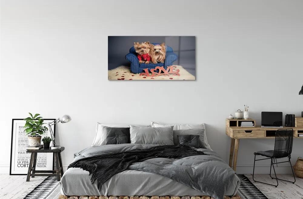 Sklenený obraz yorkie 120x60 cm