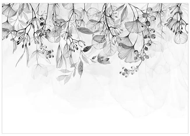 Samolepiaca fototapeta - Foggy Nature - Grey Veľkosť: 441x315, Verzia: Samolepiaca
