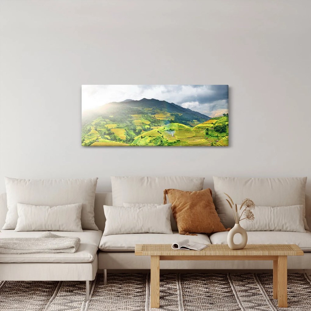 Obraz plantáže (120x50 cm)
