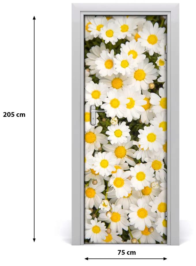 Fototapeta samolepiace kvety sedmokrásky 75x205 cm