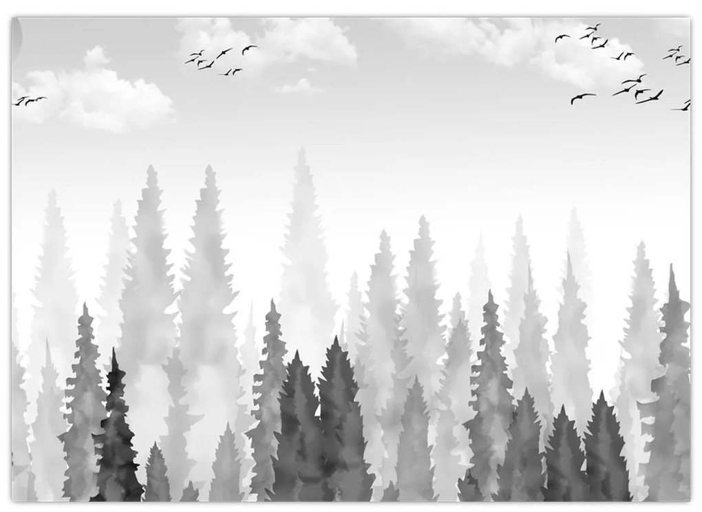 Obraz - Vrcholky lesov (70x50 cm)