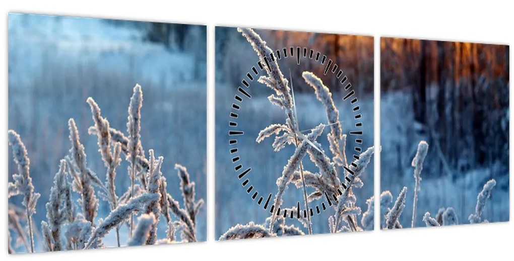 Obraz - Zimná lúka (s hodinami) (90x30 cm)