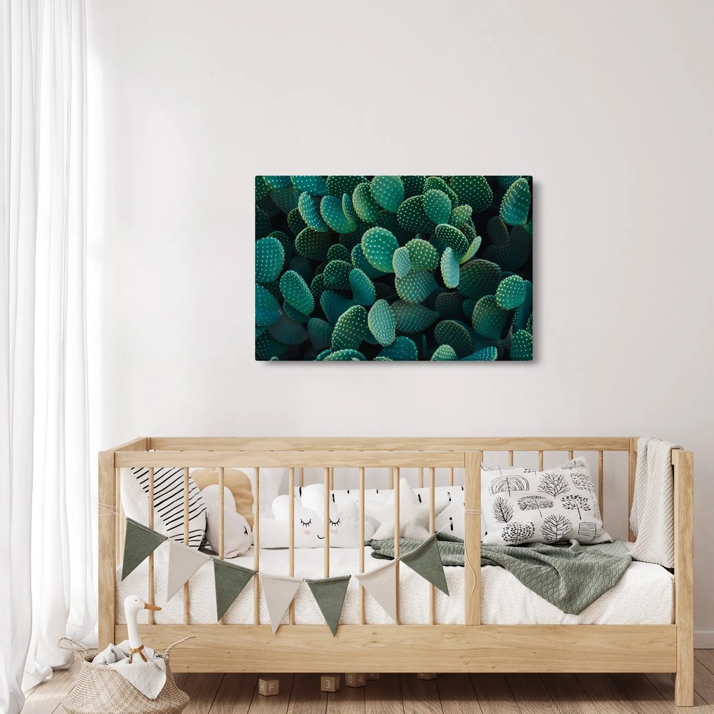 Obraz - Opuncie (90x60 cm)